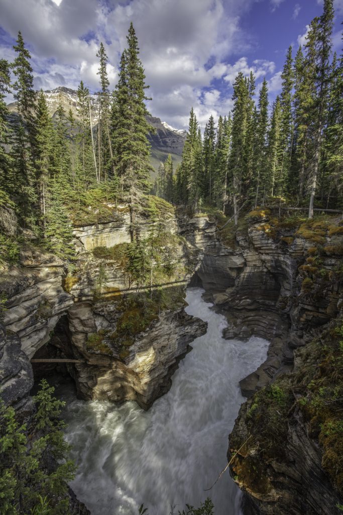 Image is of the waters of the Athabasca Falls shooting down a gorge.