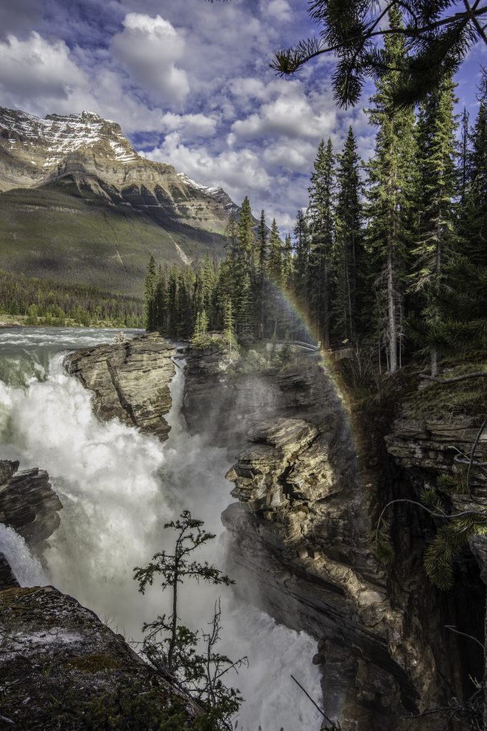Image is of the Athabasca falls with rainbow