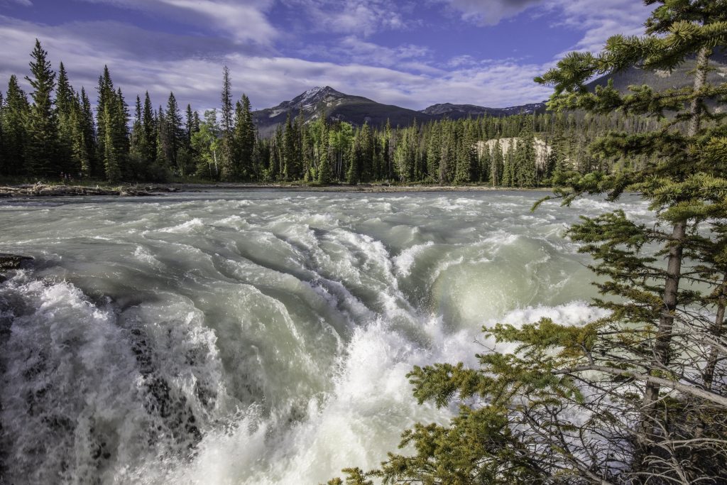 Image shows the waters of the Athabasca Falls crashing down into the chasm