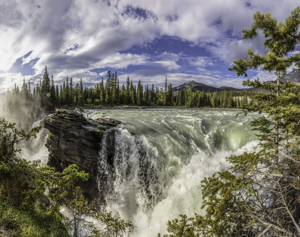 Image shows the turbulent waters of the Athabasca river crashing over the Athabasca falls.