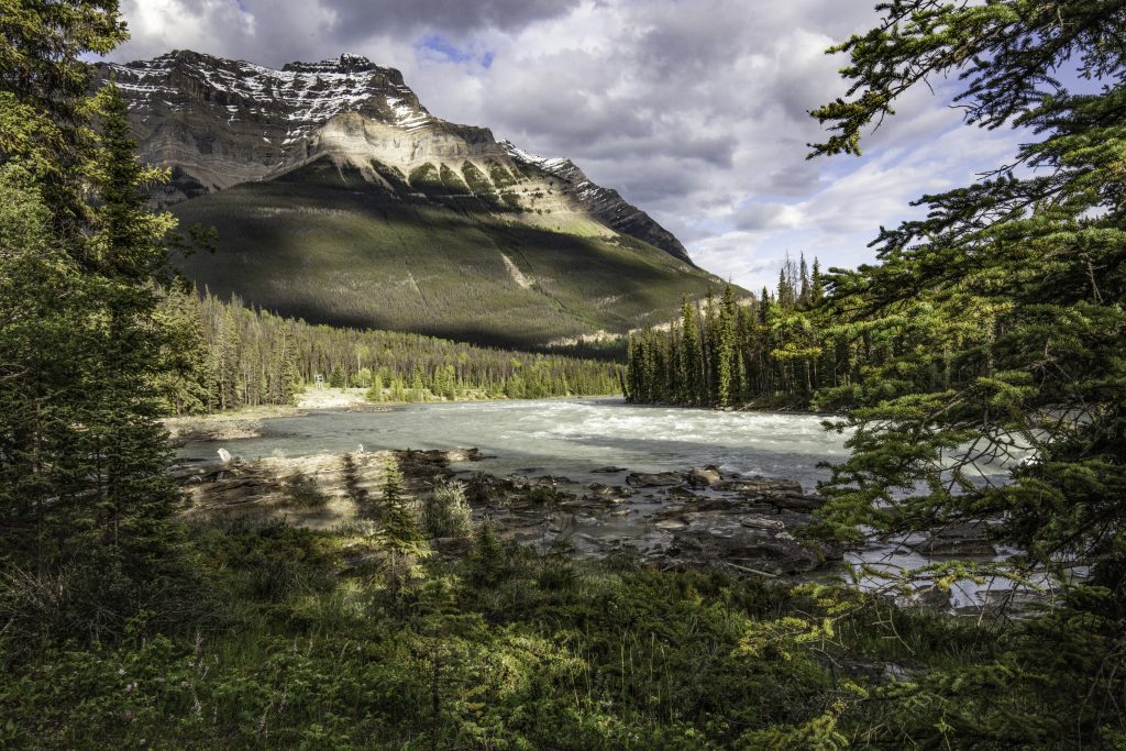 Image shows playful shadows rolling across the Athabasca River Valley in the late afternoon.