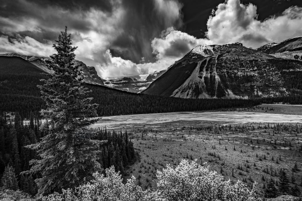 Black and White image of Stutfield Glacier and Sunwapta River Valley