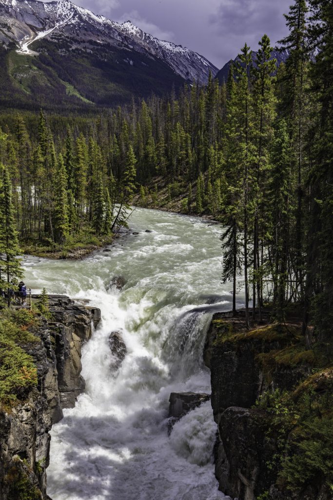 The roaring waters of the Upper Sunwapta falls are viewed from above.